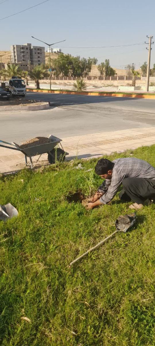 هر نهال نفسی تازه برای شهر است